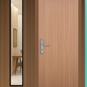 Door / Pintu